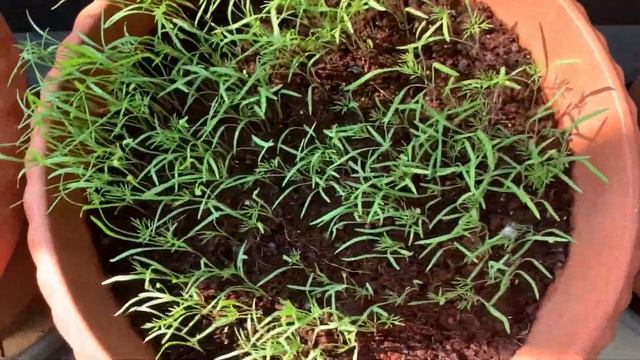 РЕМОНТ: НАША СТРОЙКА ИЛИ КАК Я «ОТДЫХАЮ» НА КАРАНТИНЕ. смотреть онлайн