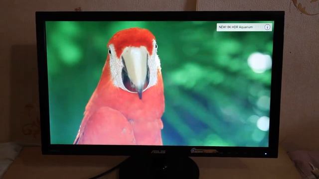 Монитор Asus VS238H-P смотреть онлайн