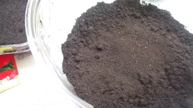 Как посеять петунию? Самый простой способ посева петунии! Посеять петунию сможет любой! смотреть онлайн