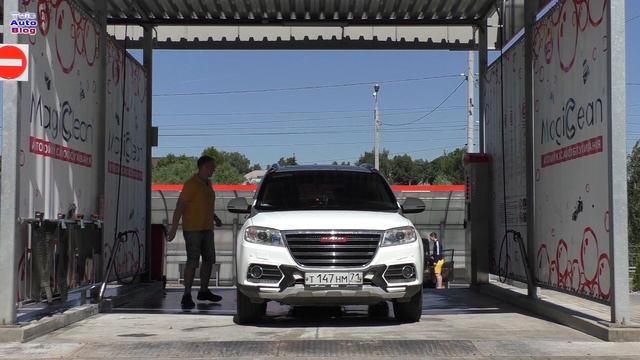 Как отмыть насекомых с машины. Как смыть мух и жуков с авто после езды по трассе смотреть онлайн