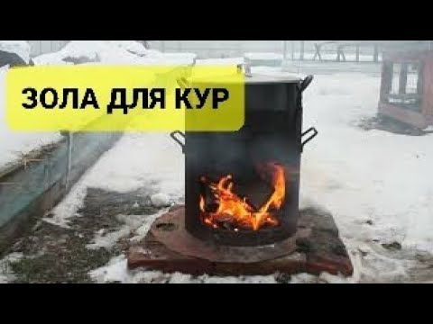 ПРАВИЛЬНАЯ ЗОЛА ДЛЯ КУР. смотреть онлайн