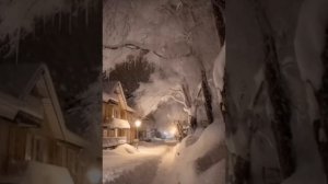 ...заметает улицы метель...