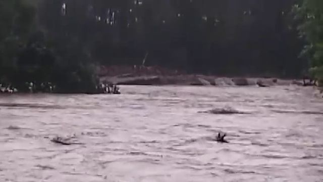 Где-то около п. Пластун (29.08.16) смотреть онлайн