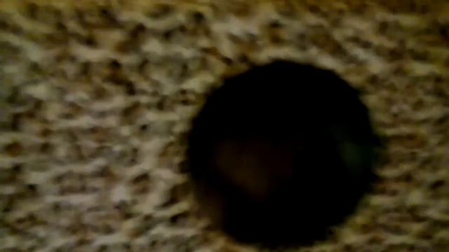 Агрессивный кот смотреть онлайн