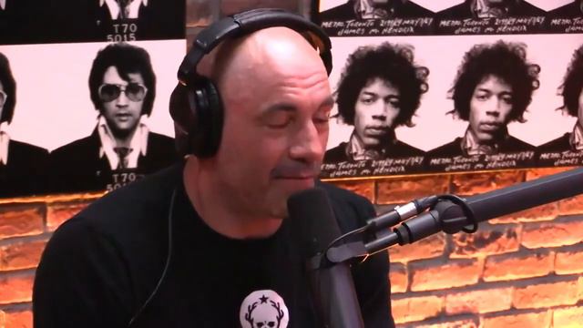Joe Rogan on Megyn Kelly's Betrayal of Alex Jones смотреть онлайн