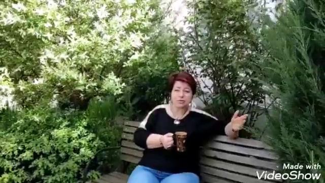 Первая зарплата на Ютубе! Маразм крепчал))) Утренний кофе с заводчиком корги) смотреть онлайн