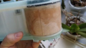 Что будет, если не использовать соль в посудомоечной машине или как умирает ионообменник