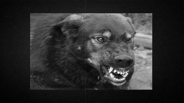 Мистическая история:Дьявольская псина смотреть онлайн