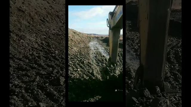 UDS Group купила ООО