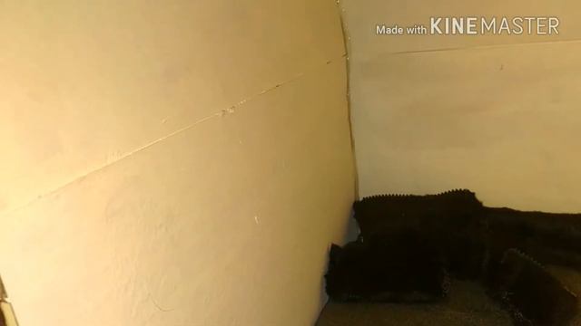 Roombox смотреть онлайн