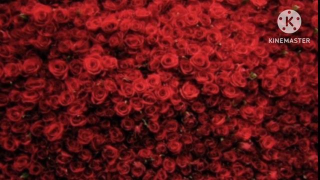 A Million Roses : Миллион алых роз [백만송이 장미] смотреть онлайн