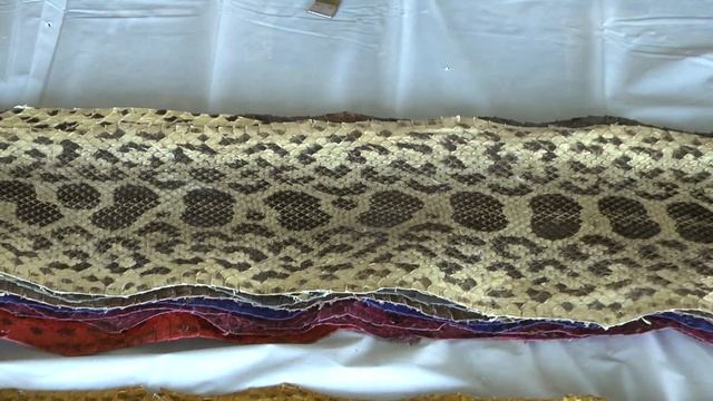 Anaconda Collection смотреть онлайн