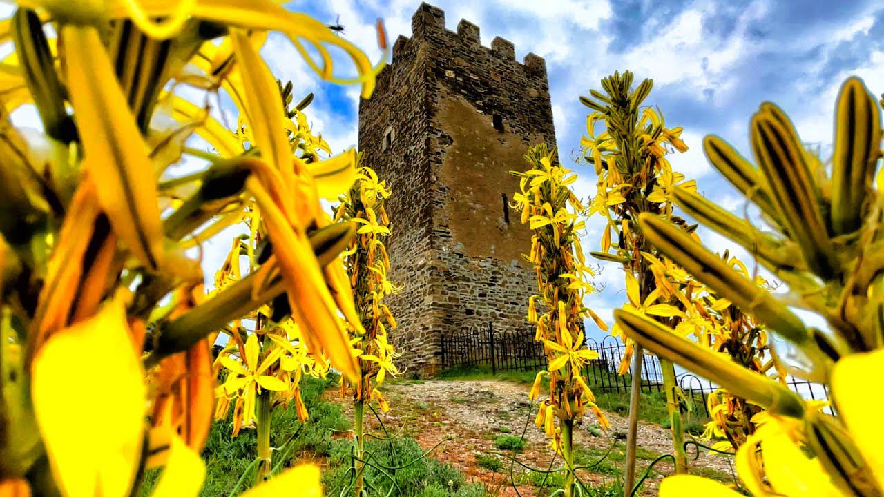 Обстановка в Крыму сегодня. Что творится с ПОГОДОЙ. Кипарисовая Аллея в Судаке. Показываю ВСЮ ПРАВДУ смотреть онлайн