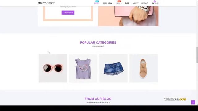 Molte - Store Fashion and Food WooCommerce Theme organic marketplace Ayano смотреть онлайн