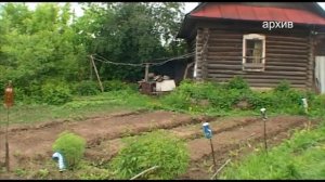 профилактика мышиной лихорадки