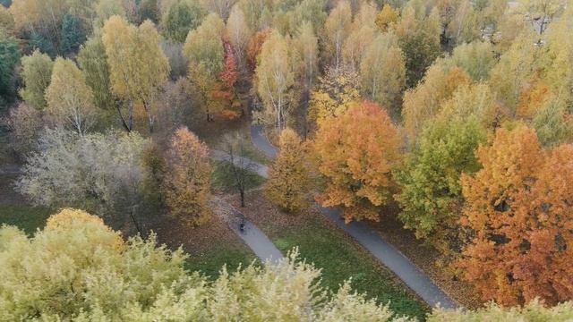 18 жовтня. Який сьогодні день, свято, народні прикмети, традиції, день ангела, стрижка, число дня