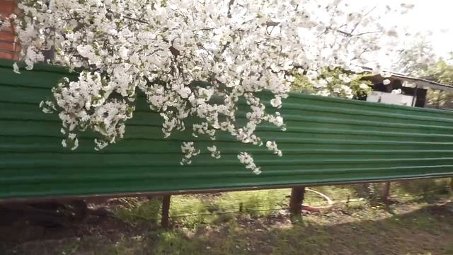 ВЛОГ: НЕ ТРЕЗВЫЕ ЗА РУЛЕМ, БЕШЕНЫЕ АТТРАКЦИОНЫ В АНАПЕ..ВЫЛЕТЕЛ ТЕЛЕФОН ! ЧАСТЬ 2 смотреть онлайн