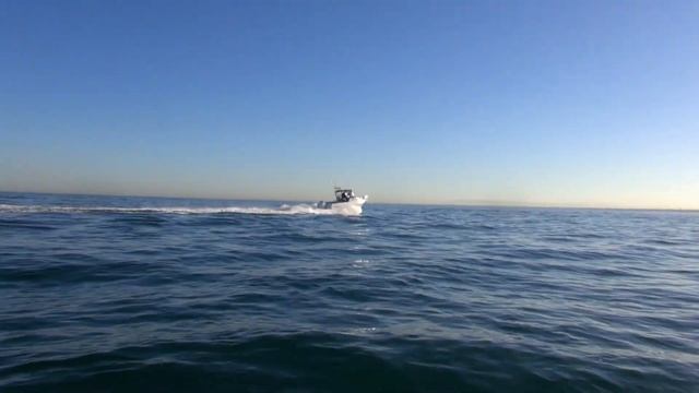 Mercury Verado V6 200hp VS Mercury Verado V4 200hp смотреть онлайн