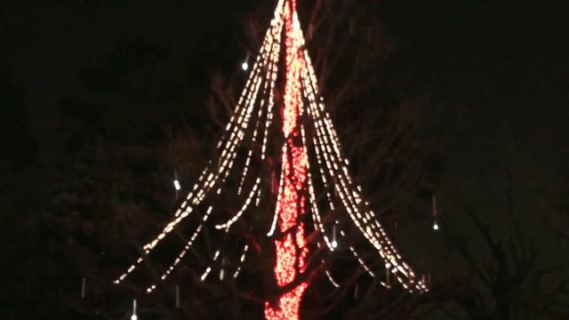 Япония. Новогодняя иллюминация в токийском парке Уэно. смотреть онлайн