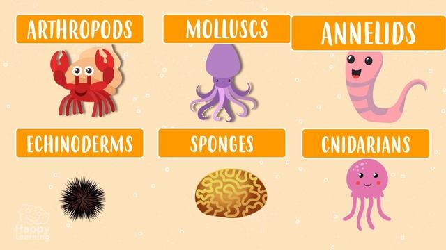 THE ANIMAL KINGDOM. VERTEBRATES AND INVERTEBRATES | Educational Videos for Kids смотреть онлайн