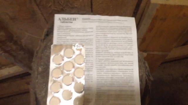 Глисты у поросят, как они выглядят и чем и как от них избавится! смотреть онлайн