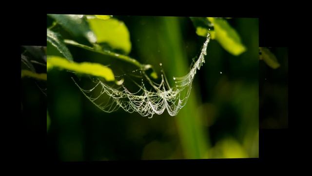 Marek Manowski - Landscape painted in autumn смотреть онлайн