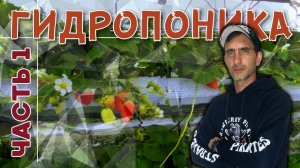 «Работы по гидропонике» часть 1