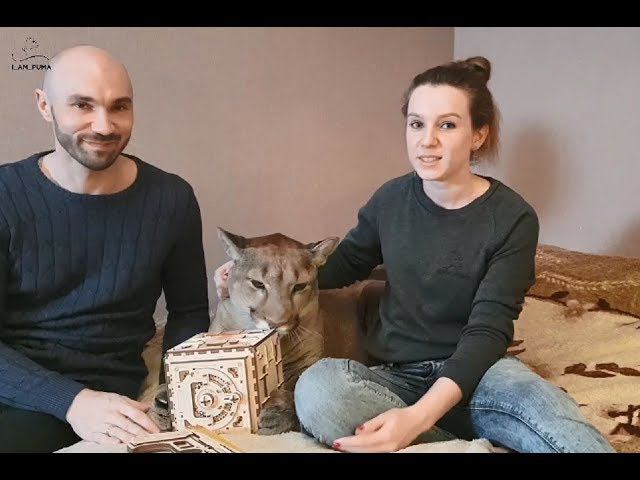 Игрушки для всех! Собираем конструктор от Ugears!