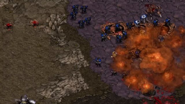 Starcraft 2 is dying but Broodwar lives forever смотреть онлайн