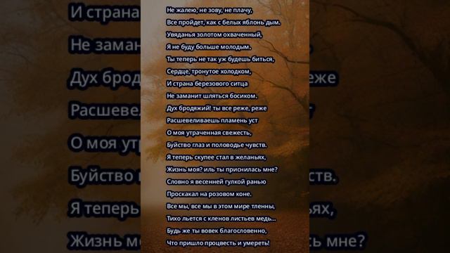 Как вам Есенин😉 смотреть онлайн