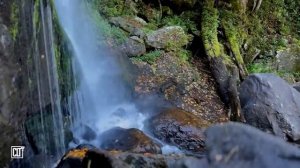 Я укреплю тебя, и помогу тебе, и поддержу тебя _ Библия перед сном _ Relaxing