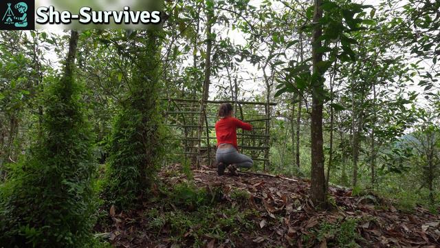 Woman Builds Camo Bushcraft Bamboo Survival Shelter In The Wild! The End Result Will Blow Your Mind