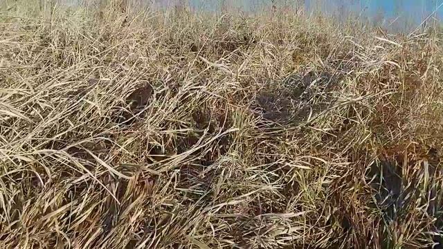 КАК НЕ МЕРЗНУТЬ на ХОЛОДЕ / КАК СОГРЕТЬСЯ на улице от СОЛНЦА , ПРОСТОЙ СПОСОБ смотреть онлайн