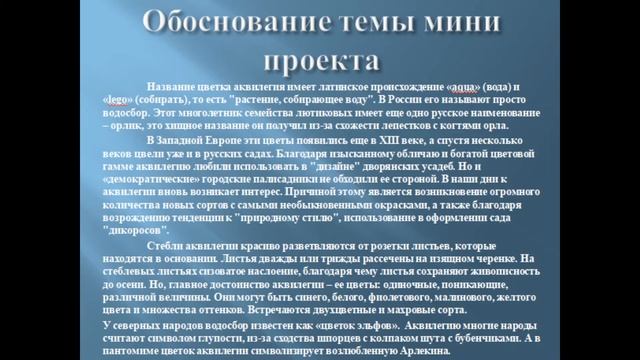 Творческий мини проект смотреть онлайн