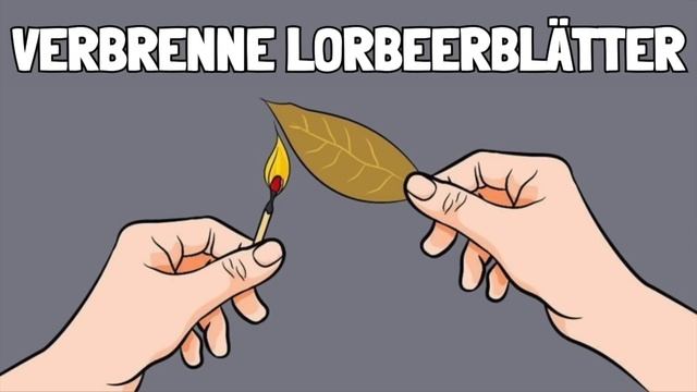 DAS passiert, wenn du Lorbeerblätter verbrennst смотреть онлайн