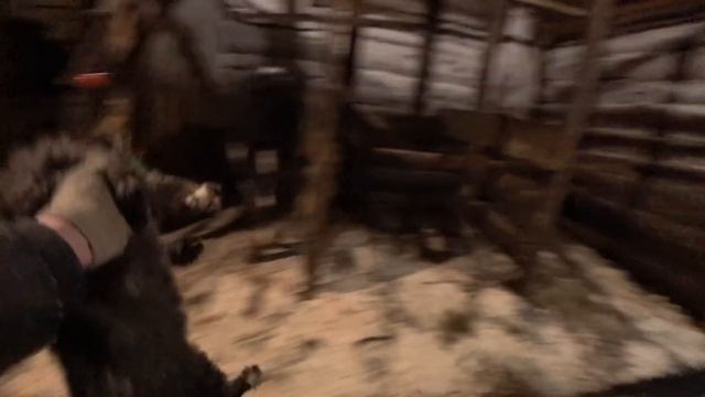 Деревенские будни ДОМА в Деревне смотреть онлайн