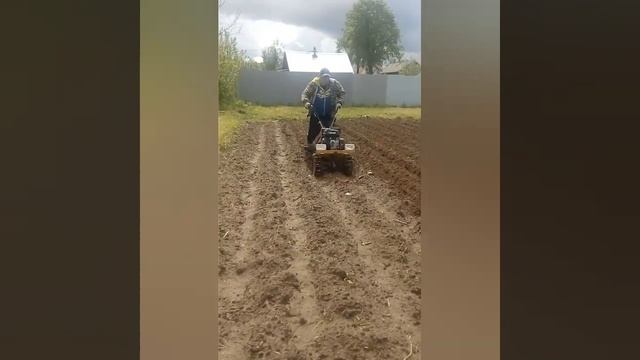 Междурядная обработка двухрядным окучником. смотреть онлайн