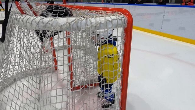 ТЕМАТИЧЕСКАЯ ТРЕНИРОВКА ДЛЯ ХОККЕИСТОВ 4-6 лет смотреть онлайн