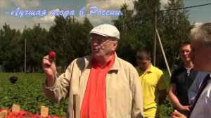 Жириновский в совхозе им.Ленина о Грудинине П.Н.в 2017г. смотрите до конца 3:58