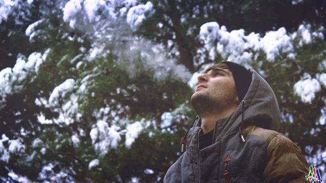 Мужчина оглянулся - в нескольких шагах за ним бежал большой полярный ВОЛК смотреть онлайн