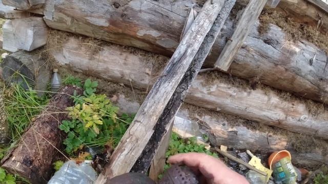 Медведь Домушник Продолжает Лезть В ИЗБЫ смотреть онлайн