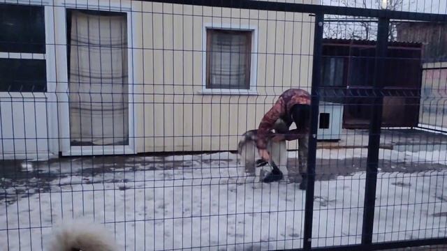 Вот так мы развлекаемся ?? смотреть онлайн