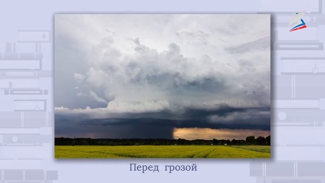 Ф.И. Тютчев «Весенняя гроза», «Листья» смотреть онлайн