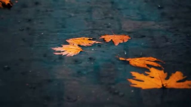 Best relax music. Спокойная музыка для медитации. Музыка для сна. Звуки природы. смотреть онлайн