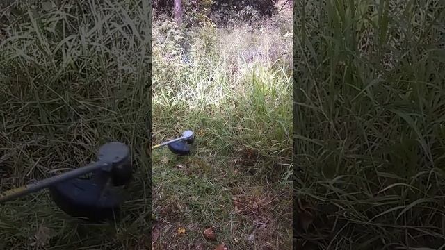 Honda HHT36 demonstration and comments смотреть онлайн