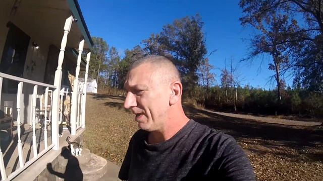 Now i'm running a cat house! смотреть онлайн