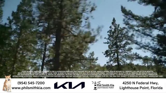 Black Friday - Phil Smith Kia K5 смотреть онлайн