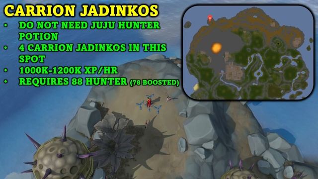Best Spots for Protean Hunter Traps | Protean Trap Guide - RuneScape 3 смотреть онлайн