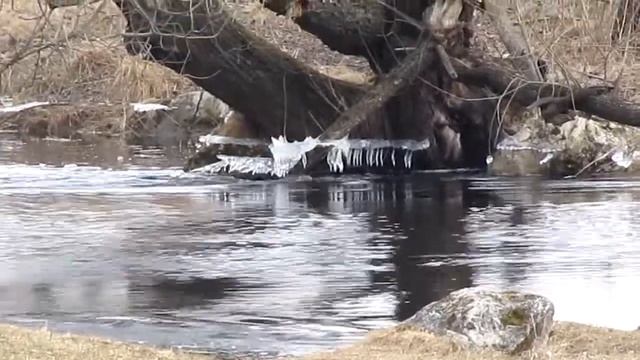 Разлив на реке Судогда - стихийное бедствие смотреть онлайн