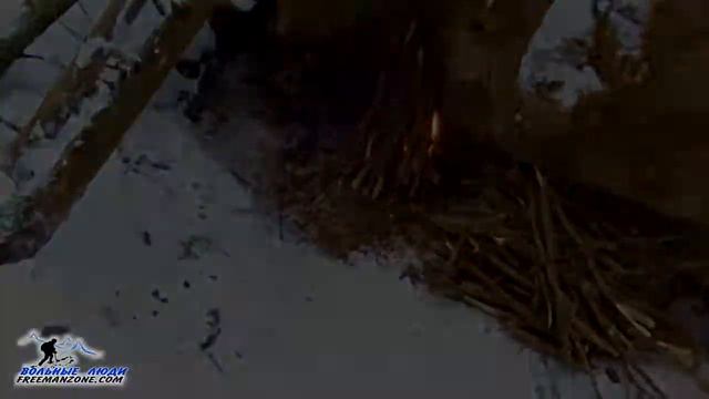 Ночевка в лесу ЗИМОЙ /Реальное выживание/ Смотри канал ссылка в описании смотреть онлайн